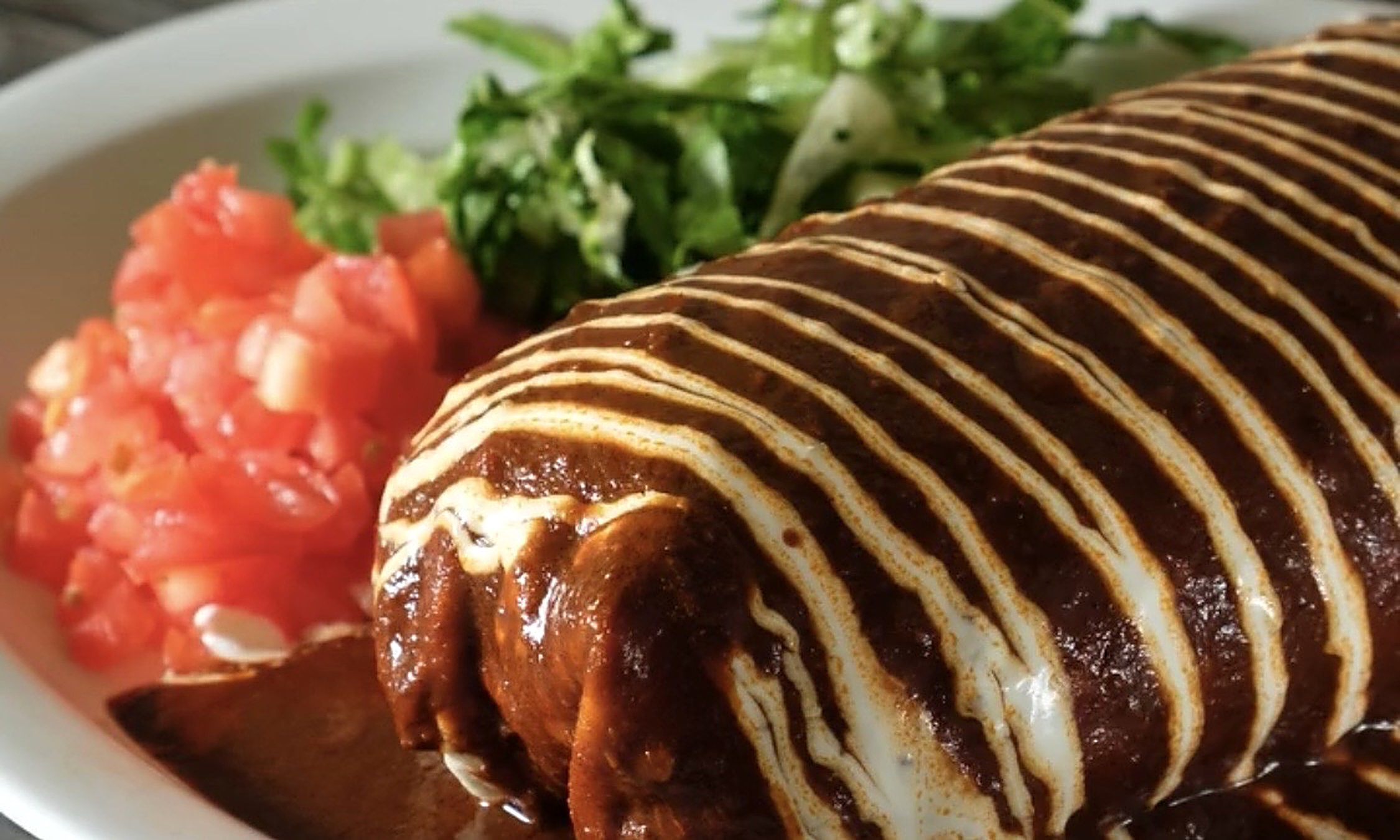 Burrito with mole