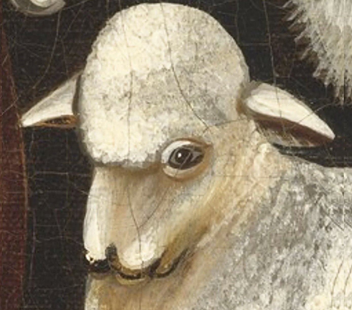 Close-up of a painted lamb's face