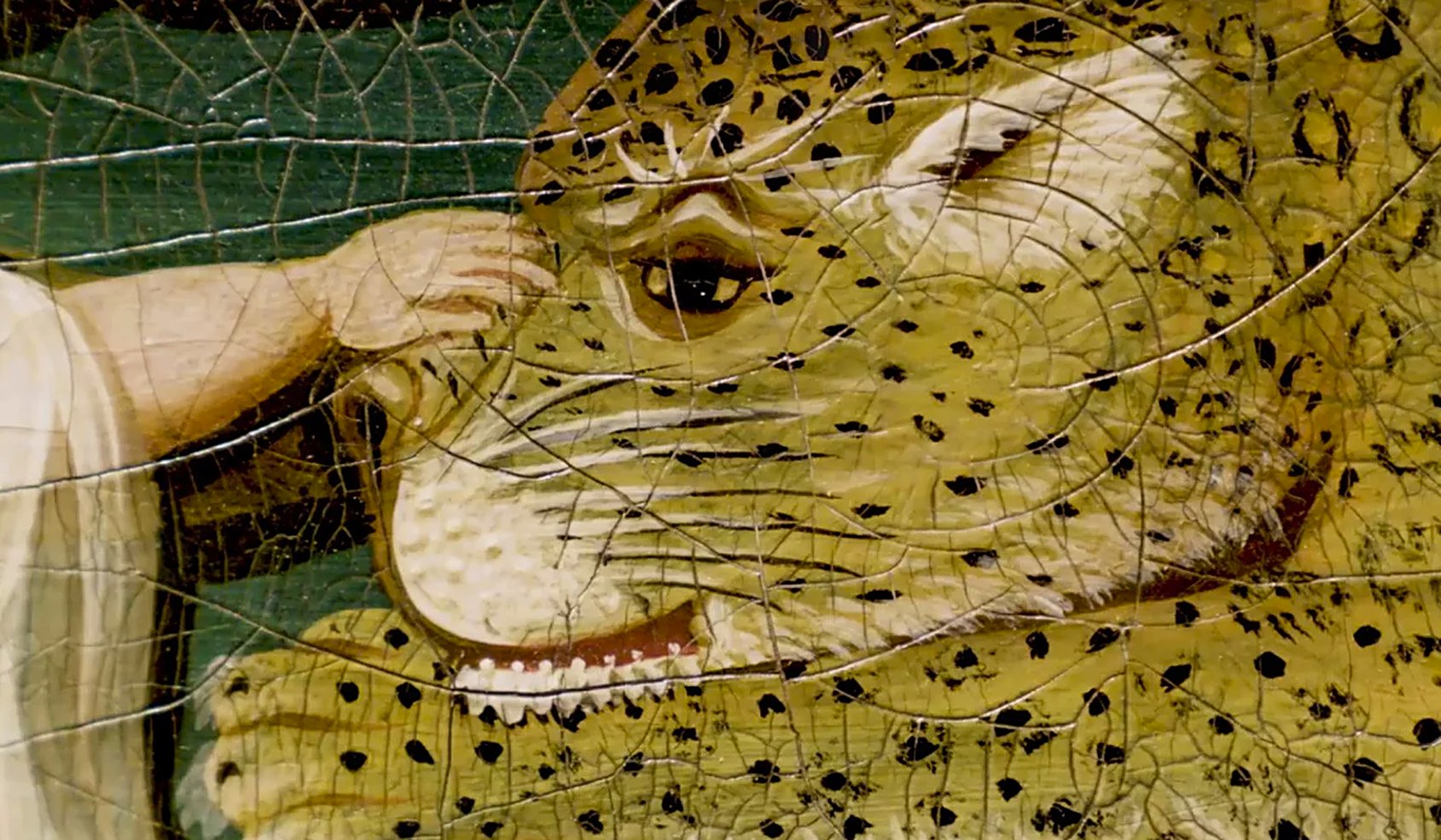 Close-up of a painted leopard with a child's hand on its head